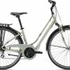 Liv Flourish FS 2 2022 Womens Bike -Bikes Shop MY21FlourishFS2ColorBDesertSage 1