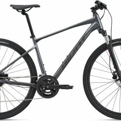 Giant Roam Disc 2 2022 Bike