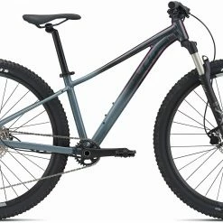 Liv Tempt 29 0 2021 Crest Fork Womens Bike