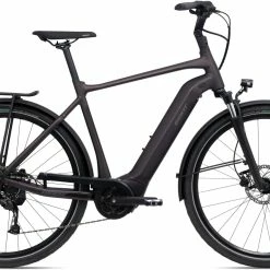 Giant DailyTour E+ 3 GTS 2022 Electric Bike